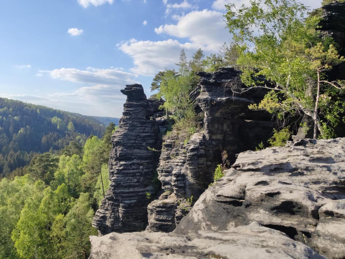 Ferienwohnung Bastei Rosenthal-Bielatal Екстериор снимка