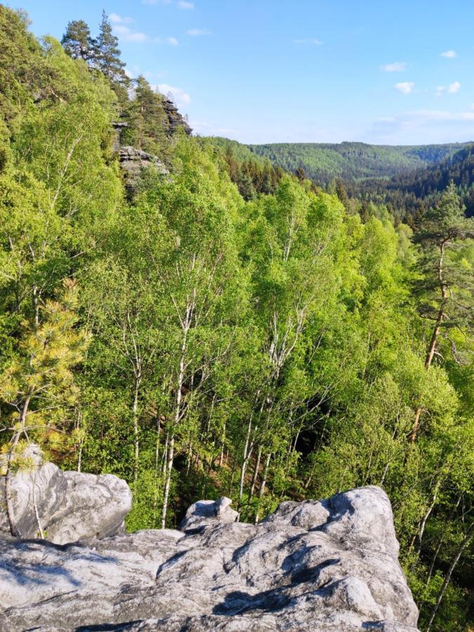 Ferienwohnung Bastei Rosenthal-Bielatal Екстериор снимка